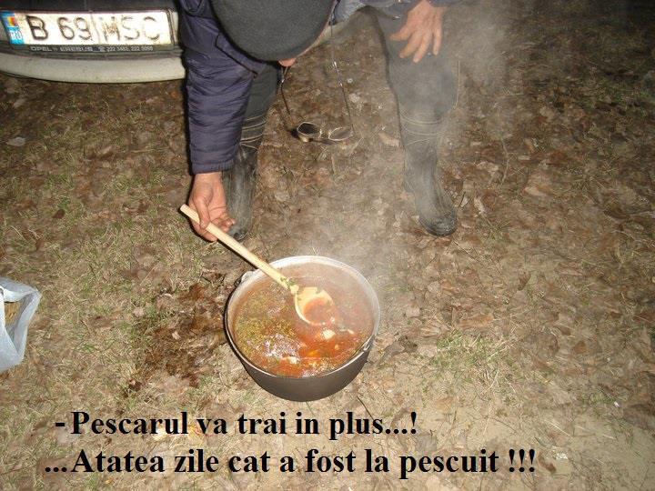 carpbook - 118492714126252856201481255760784n.jpg